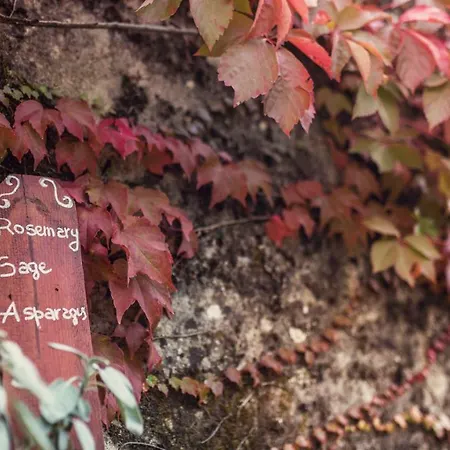 Nuba, In Campagna E A 5 Minuti Dal Cuore Del Centro Storico, Elegante Residenza Con Due Sale Da Bagno, Jacuzzi E Ogni Comfort * פרוג'ה